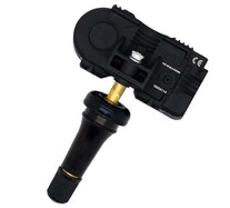 タイヤプレッシャーセンサーのカテゴリ