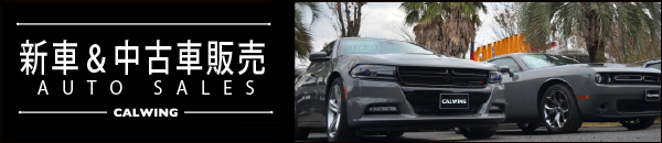 キャルウイング 在庫車両